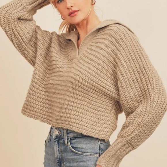 Vici Sweaters - VICI Knit Tan Shawl Collar V-Neck Pullover Cropped Balloon Sleeve Sweater Large